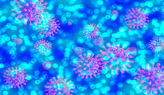 La proteína neuropilina-1 se expresa con mucha fluidez en el epitelio respiratorio y olfativo, arguyeron los especialistas. Foto: Pixabay