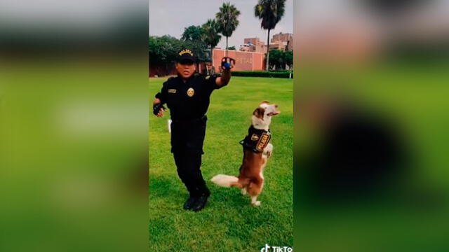 Desliza las imágenes para ver la divertida coreografía que hizo un perro policía con un oficial peruano. Foto: @policiaperu