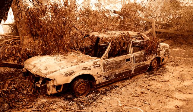 Incendio forestal en Australia