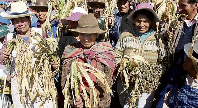 Darán ayuda a siete provincias de Cusco afectadas por sequía