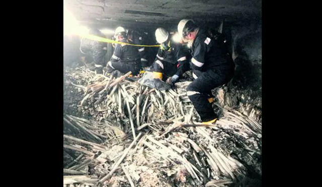 Las Malvinas: Coico importó 100 toneladas de fluorescentes para adulterarlos