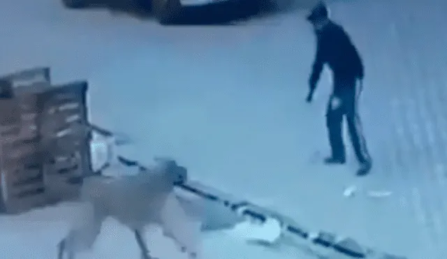 Facebook viral: hombre rescata a perro que iba a ser atropellado por enorme trailer [VIDEO]