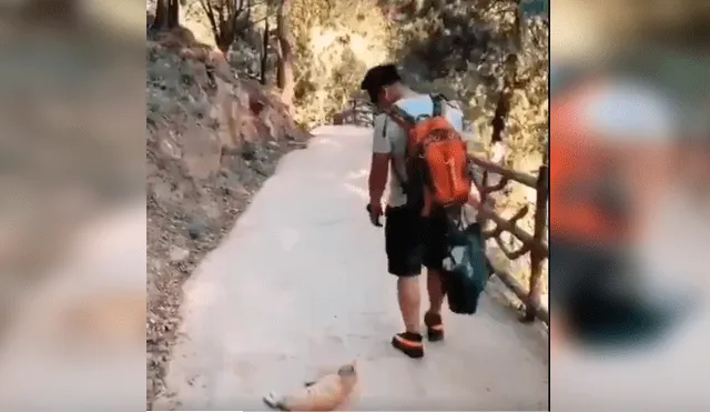 El felino persiguió a su amo e intentó retenerlo con una peculiar conducta que se ha hecho viral en YouTube