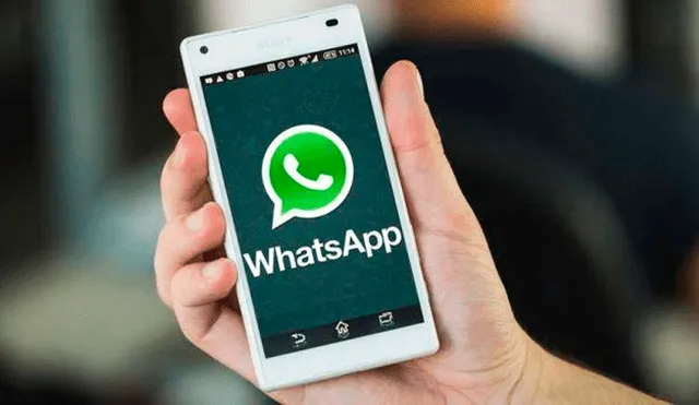 Expertos informan que WhatsApp es la aplicación más usada por narcotraficantes. (Foto: LA 100)