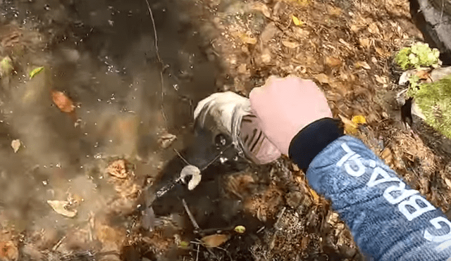 Pescador emerge su mano dentro de un misterioso río de Brasil.