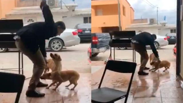 Hombre apuñaló a perro y maltrato animal quedó grabado [VIDEO]