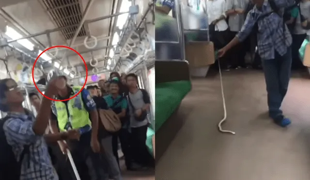YouTube: Indonesio mató a serpiente con sus manos y sorprendió en la red [VIDEO]