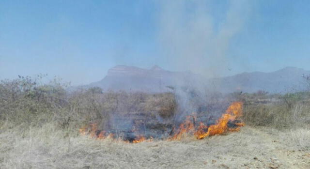Lambayeque: continúa incendio en Reserva Ecológica  de Chaparrí [VIDEO]