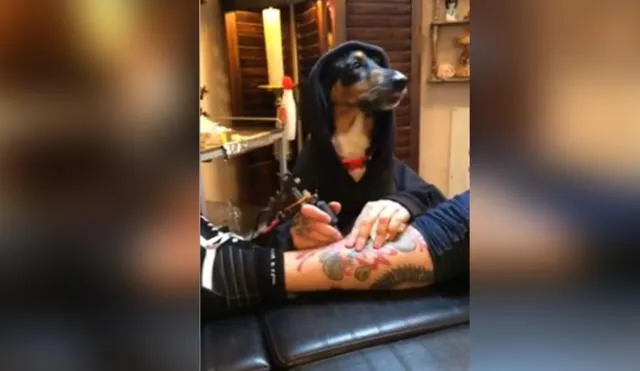 Facebook: habilidad de perro para ‘tatuar’ se vuelve tendencia en Internet | VDEO