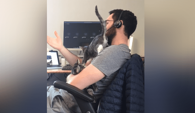 A través de YouTube se hizo viral el divertido momento en que un gato interrumpe a su dueño mientras trabaja.