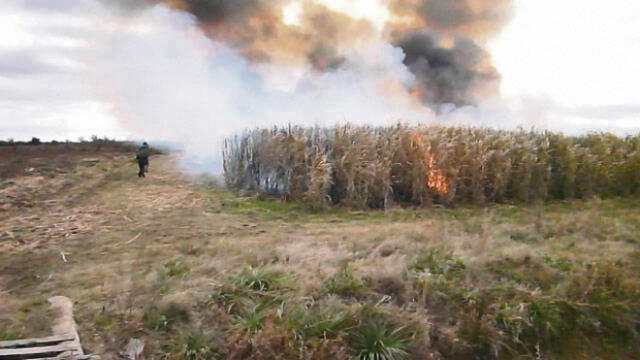 Exigen supervisar quema de caña en cuarteles cerca a carretera Chiclayo- Pomalca