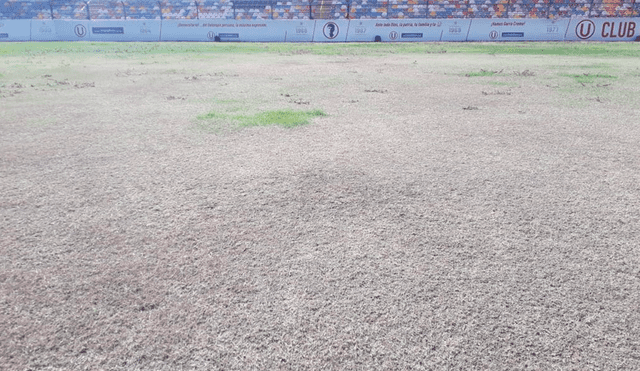 Así luce el Estadio Monumental de Ate tras paralización de la Liga 1 a causa del coronavirus. (FOTO: Líbero).
