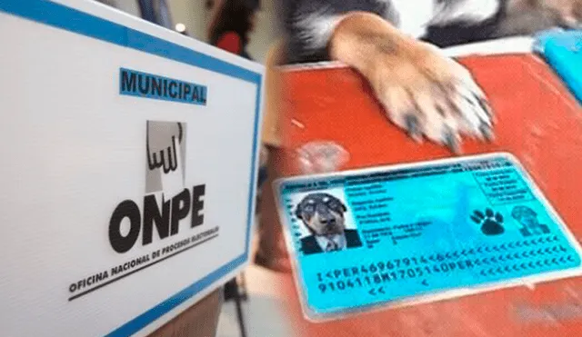 Facebook: captan a perrito 'Firulais' cumpliendo su deber cívico en su centro de votación