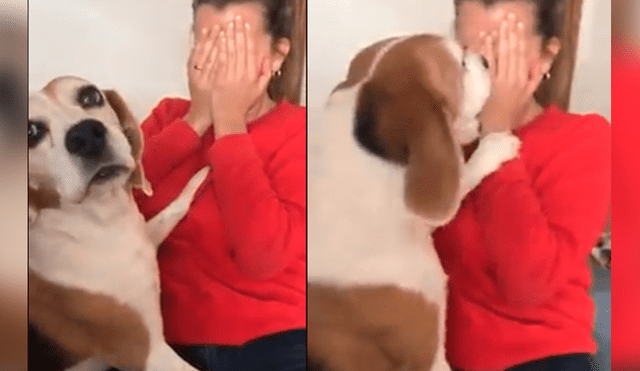 Facebook: mujer finge llorar frente a su perro y este tiene emotiva reacción [VIDEO]