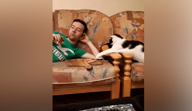 Desliza las imágenes para ver la curiosa escena que protagonizó este gatito al querer ‘robar’ un poco de comida a su dueño. Fotocapturas: ViralHog/YT
