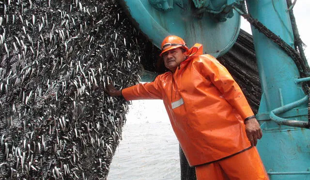 Perú suscribirá el acuerdo mundial sobre pesca ilegal