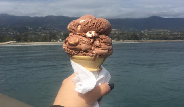 Twitter: Mujer intentó tomar una foto a su helado, pero un animal intruso arruinó su plan