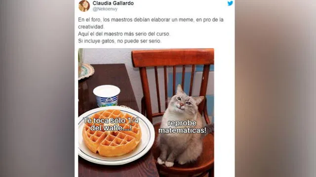 Creativos memes fueron compartidos en redes sociales por el Día Internacional del Gato.