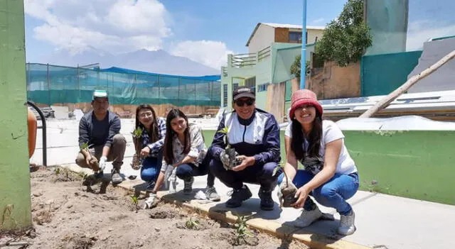 Arequipa. Cientos de voluntarios instalaron árboles en la provincia de Islay.