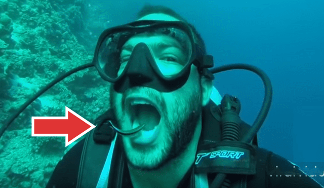 YouTube viral: cámaras graban el momento en que buzo hace lo más asqueroso con un pez [VIDEO]