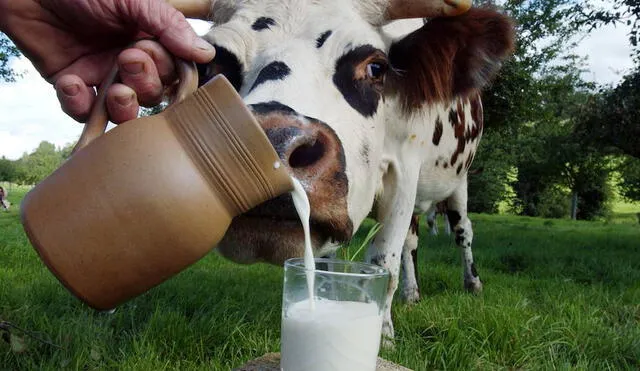 ¿Cómo identificar si la leche que compro es 100% natural?