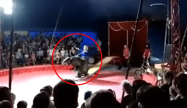 YouTube Viral: oso azotado en circo atacó a entrenador para defenderse [VIDEO]