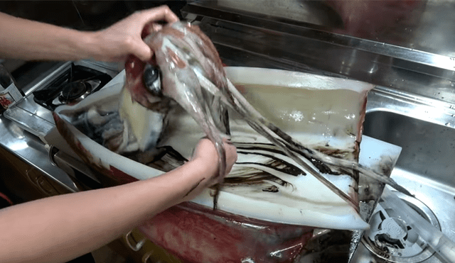 YouTube viral: captura a un calamar gigante, lo abre y decide comérselo crudo [VIDEO]