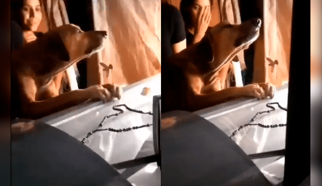 Video es viral en YouTube. El can protagonizó un desgarrador momento durante el velorio de su amo