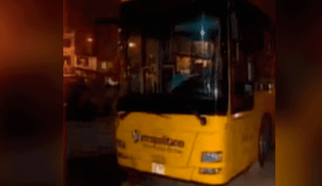 Metropolitano: bus alimentador impacta contra una vivienda y deja dos heridos 