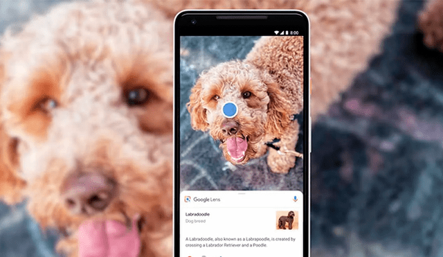 Google Lens es la aplicación que te permite realizar búsquedas de forma más sencilla y dinámica.