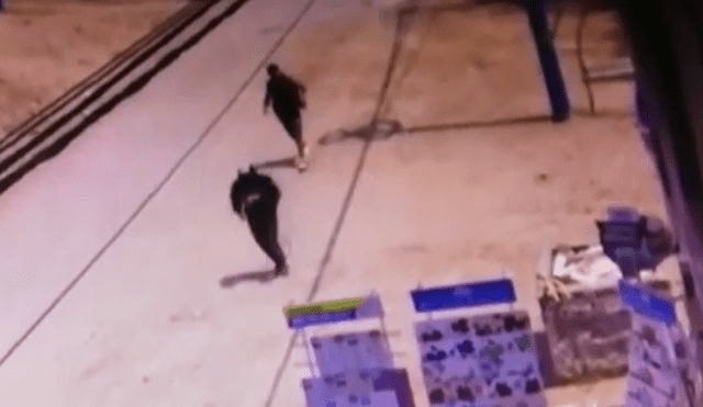 Ventanilla: Delincuentes asaltan tienda de cerámicos y se llevan más de 8 mil soles [VIDEO]