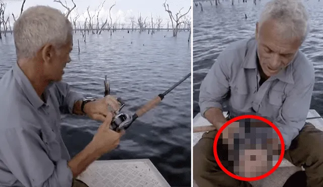 Pescador ingresa a peligrosa playa de Brasil para atrapar a peligrosa criatura marina que atacó a bañistas.