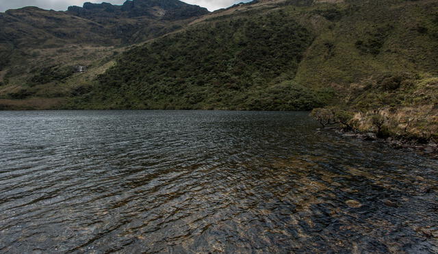 Los páramos de Piura aportan hasta 6 mil litros de agua por segundo