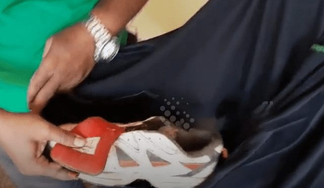 Joven intenta colocarse sus zapatillas y encuentra culebra acurrucada en el interior.