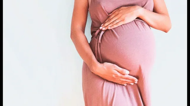 Un paramédico dijo que la supuesta placenta parecía más "un hígado con una tripa salida". Fuente: foto referencial.