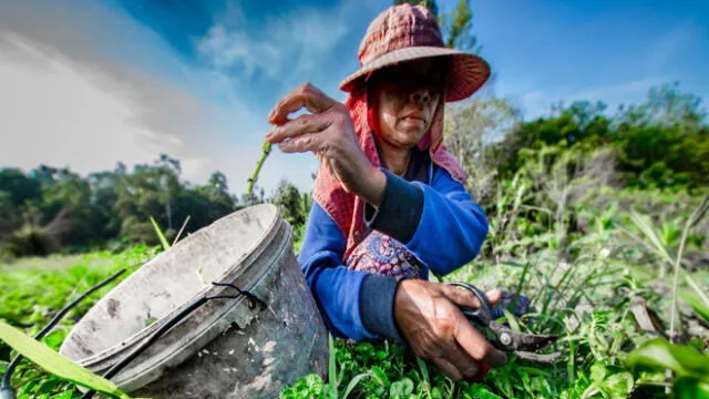 Mujeres rurales