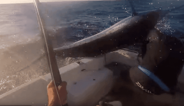 YouTube: El feroz ataque de un enorme pez espada que casi termina en tragedia [VIDEO]