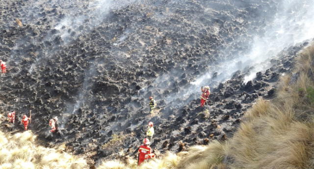 incendio forestal arrasa recursos naturales de Llamaqcancha
