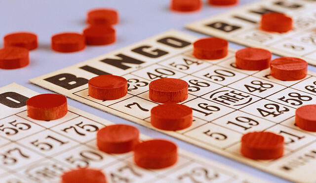 Bingo Cards and Chips