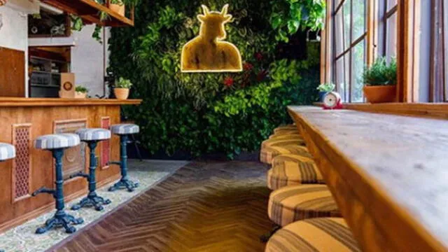 Inauguran el primer café donde turistas podrán consumir cannabis [VIDEO]