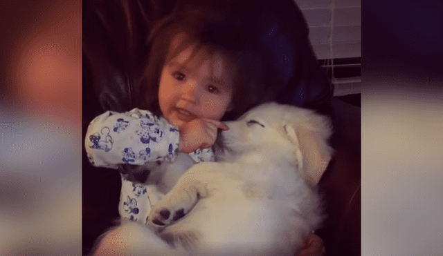 Desliza las imágenes para apreciar la amorosa escena que protagonizaron un perro junto a un pequeña.
