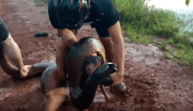 Video es viral en YouTube. Ciclista llegó con su perro a un río para beber agua y fueron sorprendidos por una gigantesca anaconda que atacó intempestivamente al can