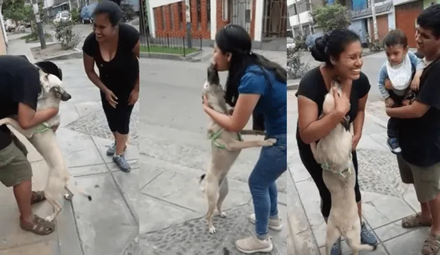 Facebook viral: miles lloran con tierno reencuentro entre perro perdido y su familia [VIDEO]