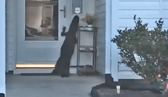 Facebook: llega a su casa y encuentra a 'terrible criatura' llamando a su puerta [VIDEO]