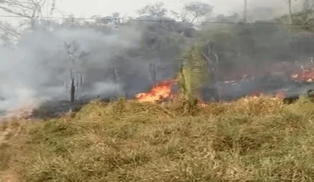 El incendio forestal se registró en el distrito de Santa Ana. (Foto: Referencial/Andina)