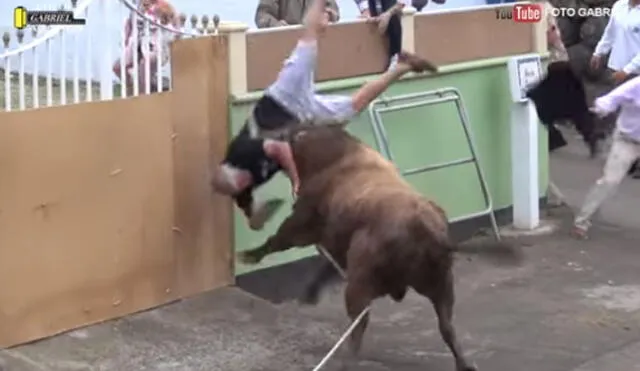 YouTube: Hombre grababa a toro con su iPad y lo pagó caro [VIDEO]