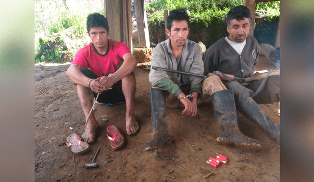 Policía destruye más de 30 mil plantaciones de amapola en Cajamarca