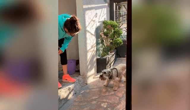 Desliza las imágenes para observar la conmovedora reacción de un perro al ser ‘regañado’ por su dueña. Foto: Captura.