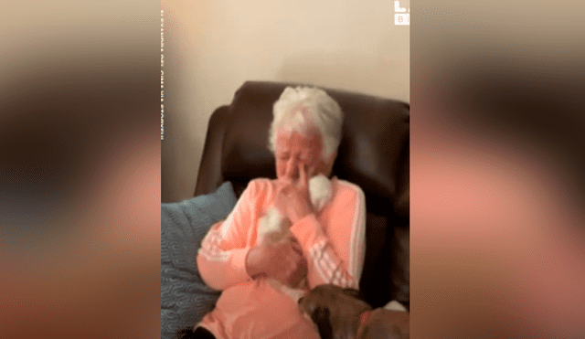 Facebook viral: mujer le regala cachorro a su madre y anciana tiene dramática reacción al verlo