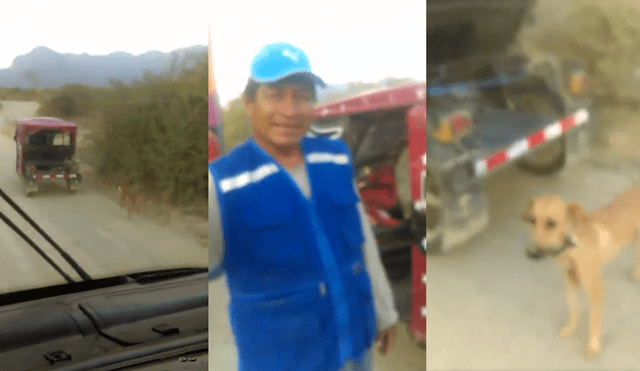 Facebook: Mototaxista arrastra a perro, chofer lo detiene y le dice todo esto [VIDEO]